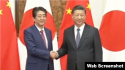 中日領導人合照。