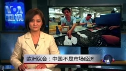 VOA连线(刘芍佳)：欧洲议会：中国不是市场经济
