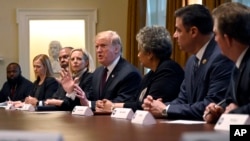 特朗普总统在华盛顿白宫内阁会议室发表讲话。(2019年1月23日)