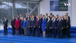 跨大西洋關係緊張之際 北約盟國密切關注美國大選