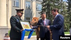 美國國防部長埃斯珀（右）2019年8月8日訪問蒙古烏蘭巴托時接受一匹蒙古馬為禮物。