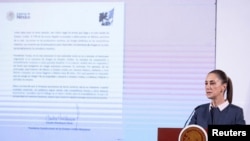 墨西哥總統克勞蒂亞辛鮑姆在記者會上宣讀致特朗普的信函，並警告關稅將導致兩國通貨膨脹和失業率上升。(路透社：2024年11月26日)