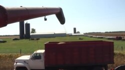 美国中西部农民密切关注农业部长人选