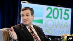 德克萨斯州联邦参议员科鲁兹