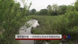 海平面升高 一共和党议员逆本党潮流而动