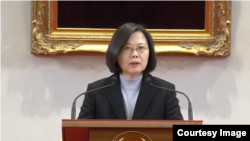 台灣總統蔡英文1日發表新年談話。 (台灣總統府網絡直播截圖)