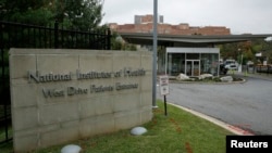 资料照：位于马里兰州的国立卫生研究院的病人入口处。