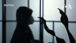 緬甸電詐園區延燒中國輿論 受害者親屬展開罕見的草根活動求助