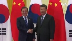 文在寅會晤習近平 雙方同意努力恢復兩國關係