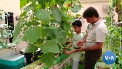 Saving Water, Growing Food in the Saudi Desert