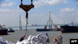 中国江苏省南通港正在装卸从巴西进口的大豆产品（2019年9月19日）