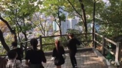 半岛局势“危险” 民众心态淡定