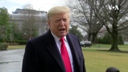 特朗普、彭斯贊中國處理冠狀病毒“專業”、“透明” (粵語)