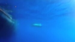 沖上海灘的物體與失蹤客機無關