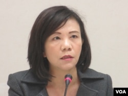 台灣執政黨民進黨立委葉宜津。