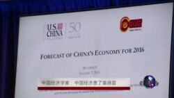 中国经济学家：中国经济患了重感冒