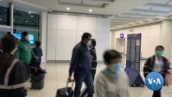 Coronavirus Cases, Deaths and Global Concerns Rising