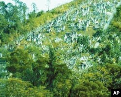 在逃亡路上死亡者的墳墓