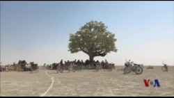 反权威主义者的盛宴 “火烧人”集会进行时