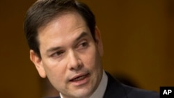 美國國會及行政當局中國委員會委員會聯合共同主席之一、佛羅里達州聯邦參議員魯比奧