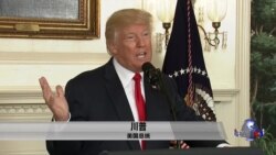 川普再回应维州游行 谴责种族主义