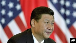 中國國家副主席習近平。(資料圖片)