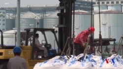 對華大豆出口增加 美國1月貿易逆差收窄超預期 (粵語)