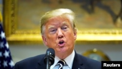 美国总统特朗普 