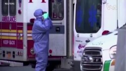 疫情危机之下特朗普总统民调支持率升至任期最高