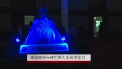 柬埔寨香米获世界大奖有助出口