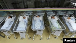 中國安徽合肥的一所醫院裡的新生兒。