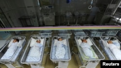中國安徽合肥的一所醫院裡的新生兒。