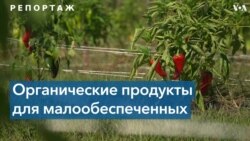 На ферме в Вирджинии выращивают органические продукты в помощь нуждающимся 