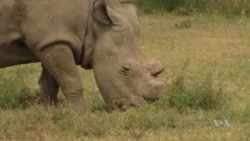 2016 a Mixed Bag for Species Conservation