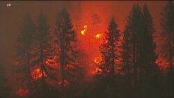 科学家称气候暖化导致美西野火恶化