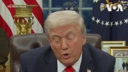 特朗普总统对所有进口钢铝征收25%关税，下一步针对芯片、汽车与药品