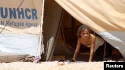 2012年8月13日在約旦馬弗拉克城市的一個難民營，一名敘利亞的難民女孩從帳篷觀看敘利亞邊境附近的粉塵。