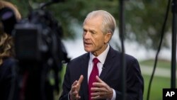白宫贸易顾问纳瓦罗(Peter Navarro)。