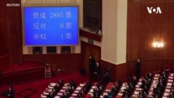 中國全國人大通過改變香港立法會選舉制度