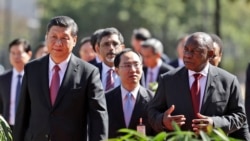 金砖五国在变化的世界格局中召开年会