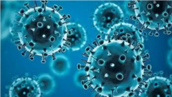 奧密克戎毒株蔓延 全球新冠疫情強力反彈