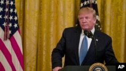President Donald Trump pauses while speaking during an event about the environment in the East Room of the White House, July 8, 2019.