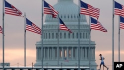 國國會大廈和美國國旗。