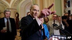 參議院少數黨領袖舒默於4月4日發表講話。