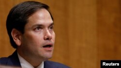 魯比奧參議員 (資料圖片)