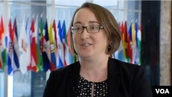 美國國務院亞太副助卿科林·威利特星期三在國務院接受美國之音專訪 (2016年7月13日)