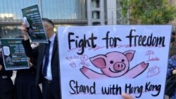 香港示威者手持標語”爭取自由，與香港同行”。(美國之音 湯惠芸拍攝)
