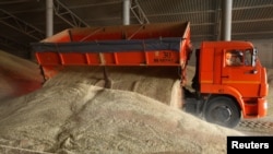 资料照片：俄罗斯斯塔夫罗波尔地区的一位农民在谷仓里卸下谷物（2019年7月4号）