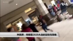 种族牌：特朗普2020大选的冒险性策略