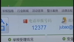 谷歌董事長：十年內終結網絡審查